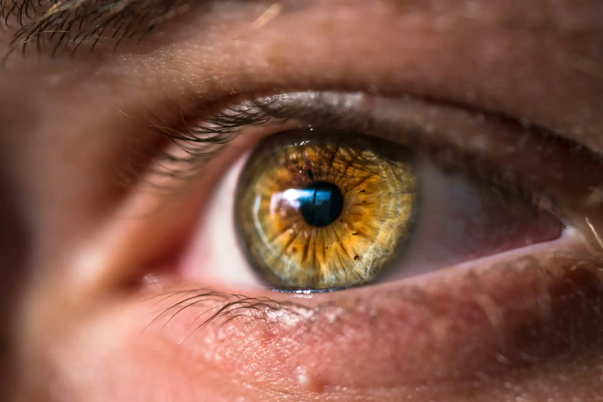 Primer plano de un ojo de iris verde y ámbar