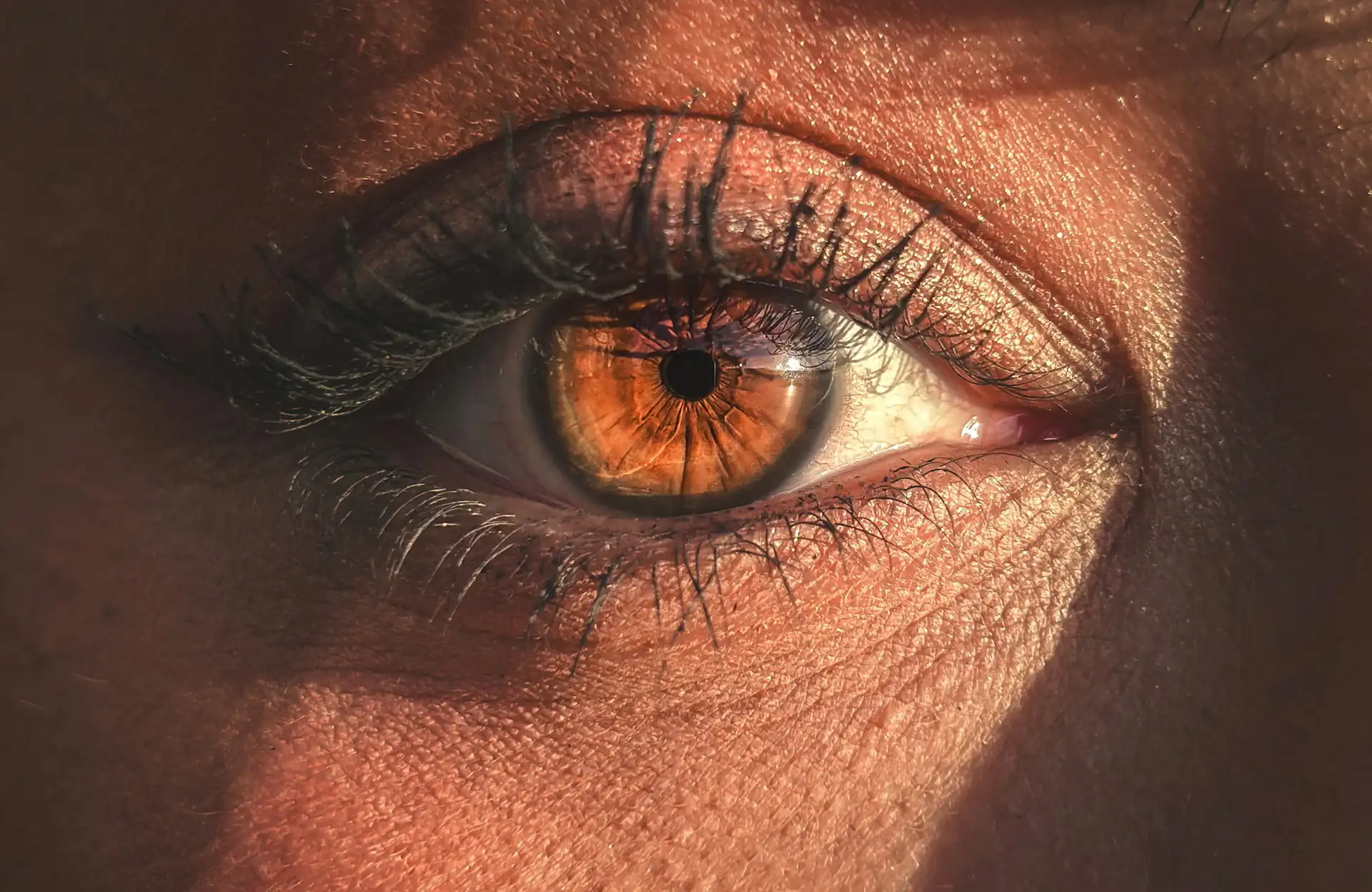 Primer plano de un ojo de iris avellana en penumbra